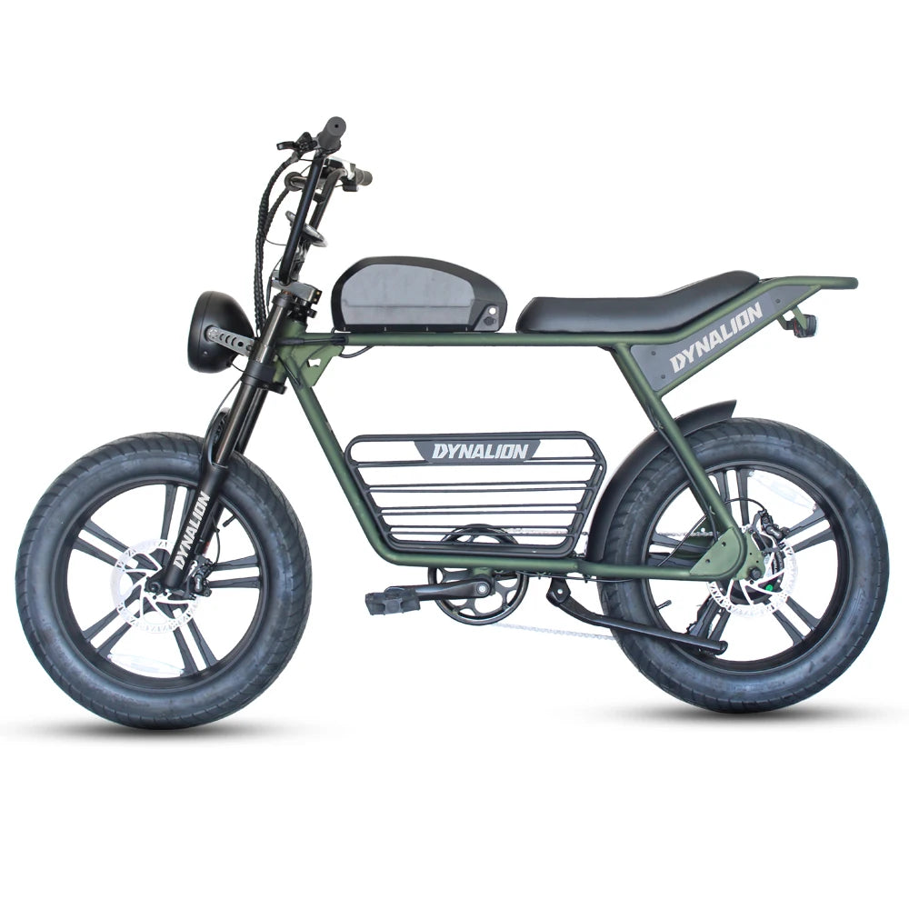 DYNALION - Retro Electric E-bike Hybrid