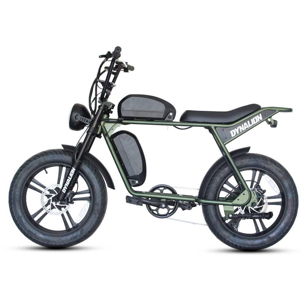 DYNALION -  Retro Electric E-bike Hybrid