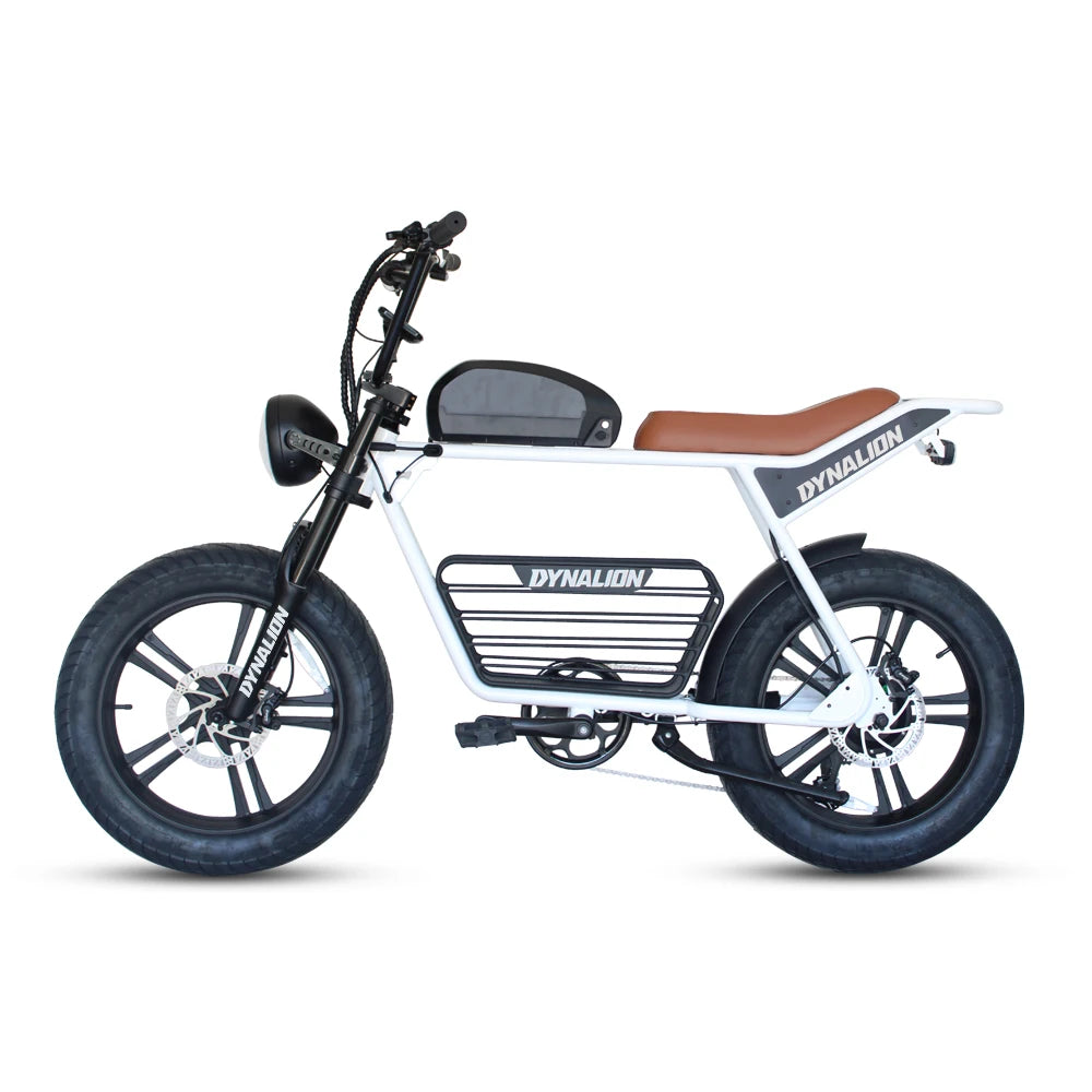 DYNALION -  Retro Electric E-bike Hybrid