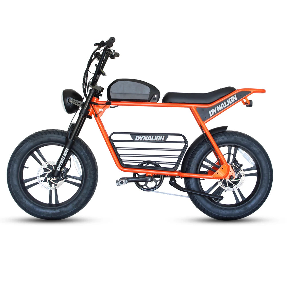 DYNALION -  Retro Electric E-bike Hybrid