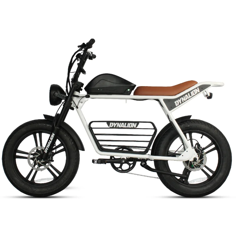 DYNALION -  Retro Electric E-bike Hybrid