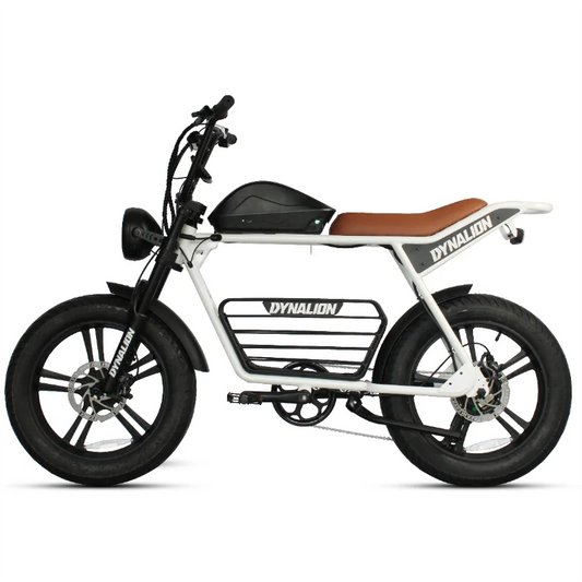 DYNALION -  Retro Electric E-bike Hybrid